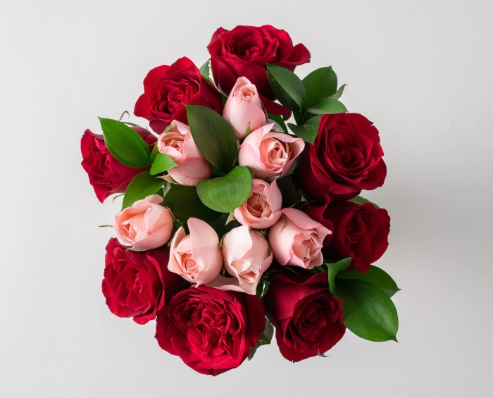 Buquê com 15 Rosas de duas Cores