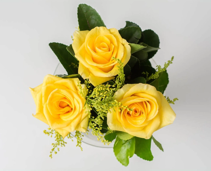 Buquê de 3 Rosas Amarelas